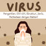 Virus: Pengertian, Ciri-ciri, Struktur, Jenis, Perbedaan dengan Bakteri