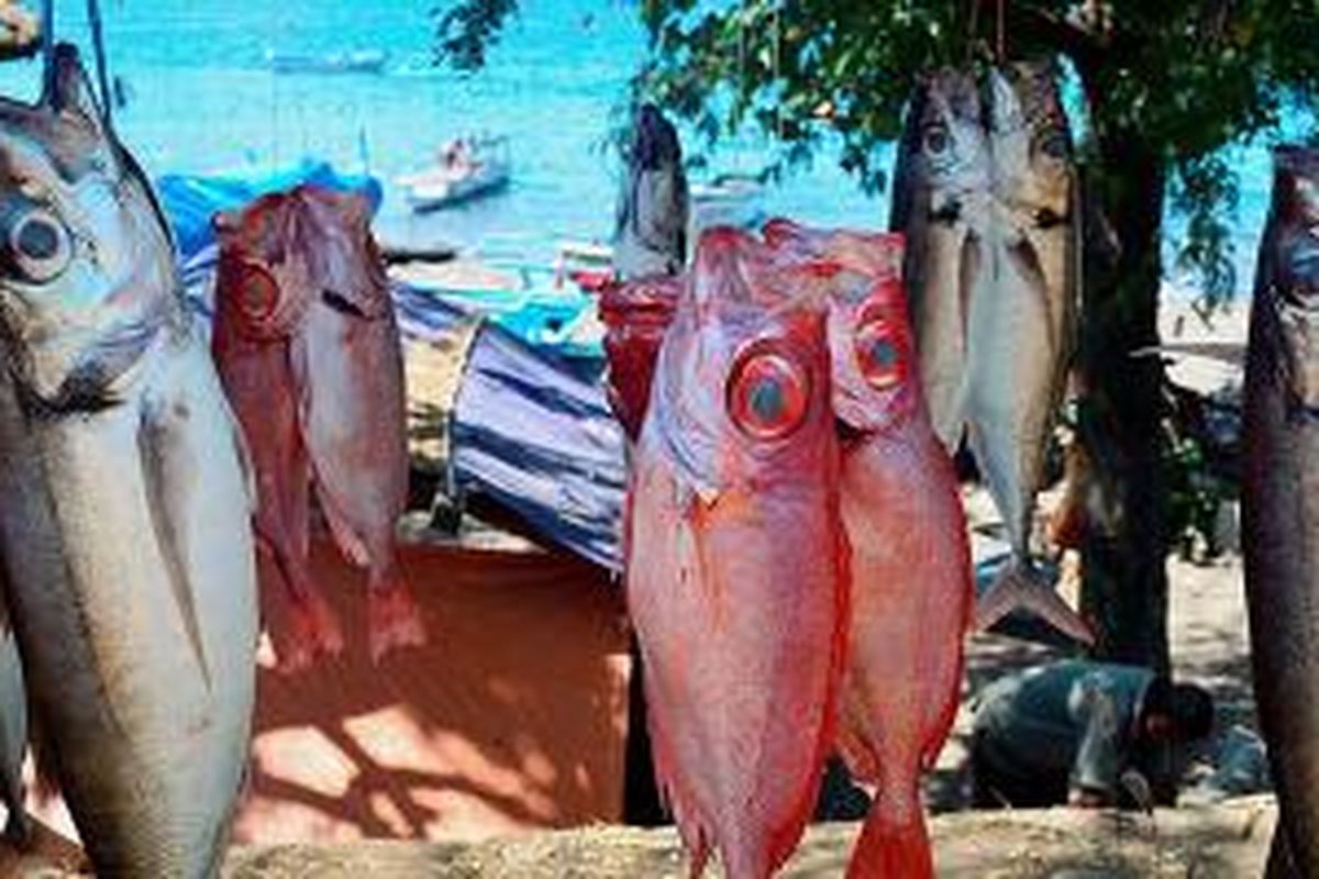 Ikan-ikan segar yang dijual di pantai sekitar Kota Larantuka, Flores Timur, Nusa Tenggara Timur.