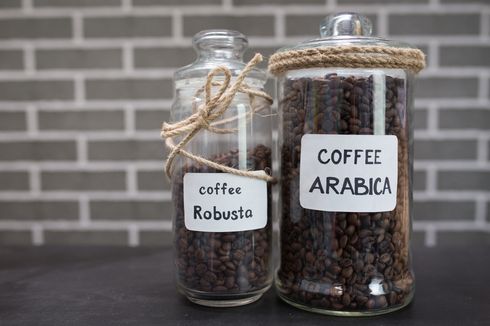 8 Perbedaan Kopi Arabika dan Robusta, Sudah Tahu?