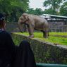 Ragunan Buka Wisata Malam Tiap Sabtu, Catat Jamnya!
