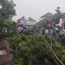 Hujan Deras Guyur Kota Denpasar, 14 Titik Jalan Tergenang dan 4 Pohon Tumbang