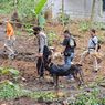 Baru Ditemukan 4 dari Total 7, Anjing Pelacak Dikerahkan Cari Kerangka Bayi Hasil Inses Ayah dan Anak