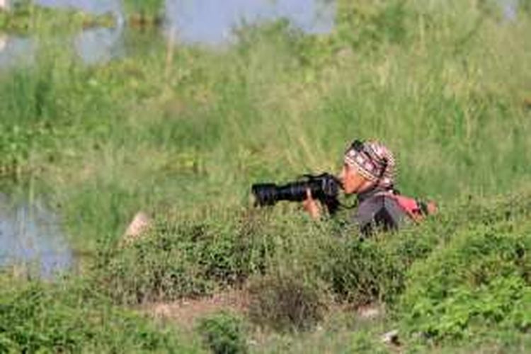 Fajar Kaprawi, staf Burung Indonesia melakukan pengamatan burung di Danau Limboto. Kegiatan ini memberi informasi spesies burung yang residen atau migrasi di danau.