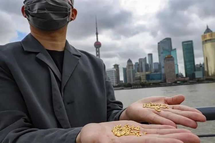 Yang Yexin, seniman China yang dikritik netizen karena membuang 1.000 butir beras dari emas murni seharga Rp 400 juta di Shanghai untuk protes food waste.