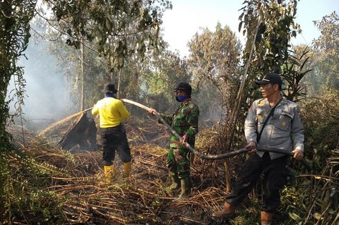 Lima Hektar Lahan Gambut di Riau Kembali Terbakar