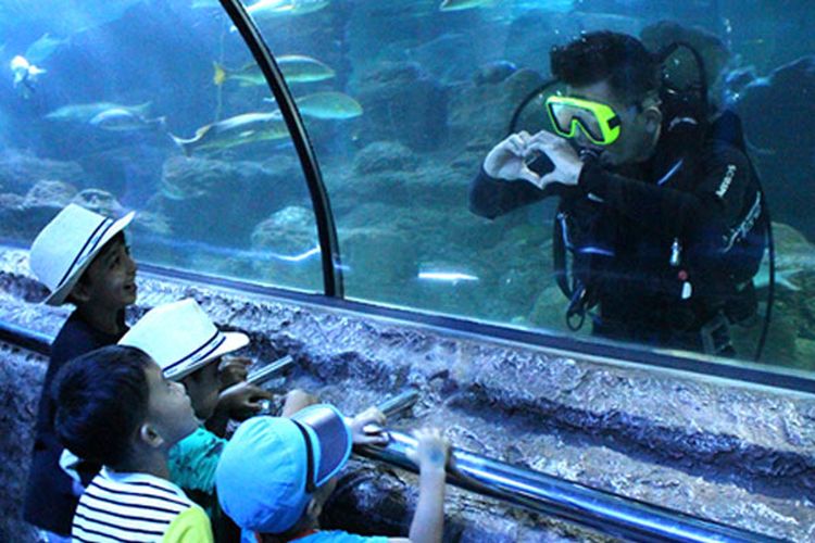 5 Wahana Ini Jadikan Seaworld Ancol Tempat Liburan Favorit