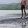 Paus 15 Meter Terdampar di Teluk Labuan Kelambu Ngada, BKSDA NTT Temukan Puluhan Luka