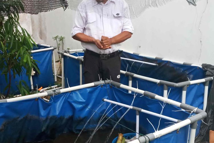 Kolam terpal untuk beternak lele di lahan belakang rumah yang sempit di Citraland, Pangkalpinang, Bangka Belitung, Sabtu (4/11/2023).