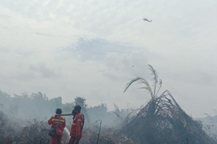 Karhutla Riau Capai 15.477,9 Hektare di Semester I 2026, Lahan Gambut Mendominasi