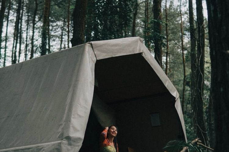 Menginap di Tengah Hutan Pinus Menoreh, Cocok untuk Healing saat Long Weekend