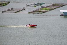Naik Speed Boat dan Perahu Wisata di Rowo Jombor Klaten, Ini Harganya