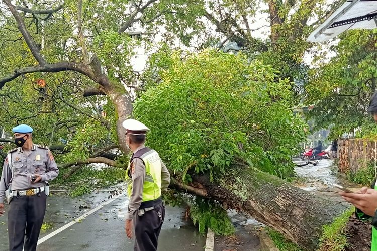 Selepas hujan deras yang mengguyur Kota Bandung, Selasa (4/5/2021) siang, sebatang pohon berukuran cukup besar di Jalan Anggrek, Kota Bandung, tiba-tiba tumbang.