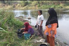 Kekeringan, Warga di Ngawi Terpaksa Gunakan Air Bengawan Solo yang Kadang Berwarna Hitam