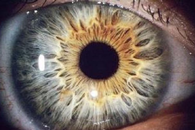 Mata manusia, "kamera" untuk mengenali obyek yang akan dikenali sebagai benda.
