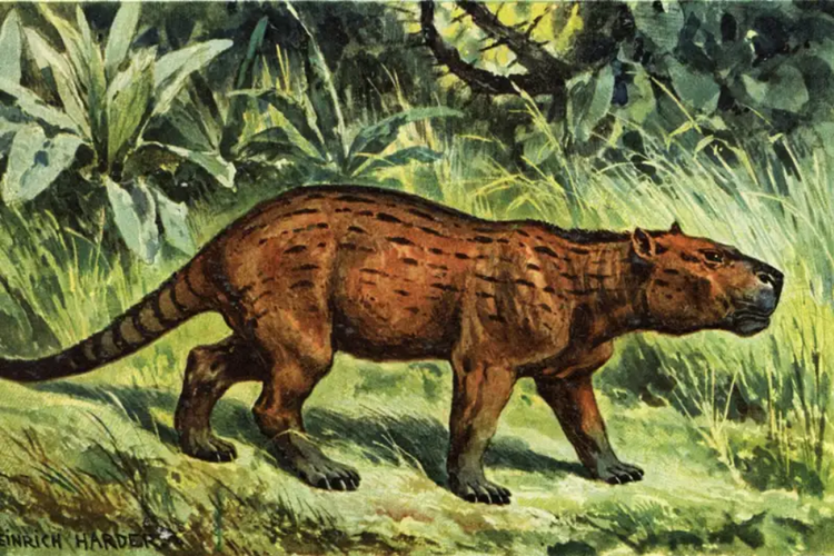 Ilustrasi Pantolambda, salah satu mamalia awal pernah hidup sebeluh masa kepunahan dinosaurus pada 66 juta tahun yang lalu. Mamalia awal ini bertubuh kecil dan berumur pendek.
