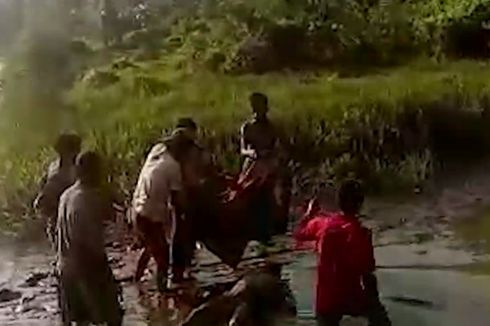 Diduga Kalah Bergulat dengan Buaya, Pria Ditemukan Terapung di Sungai Suremana