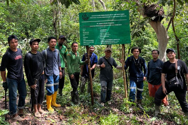 Salah satu lokasi rehabilitasi DAS PT GKP di Konawe Selatan.