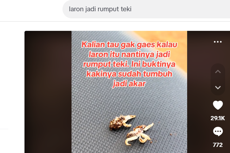 Ramai soal Laron Disebut Bakal Tumbuh Jadi Rumput Teki, Ini Penjelasan Ahli