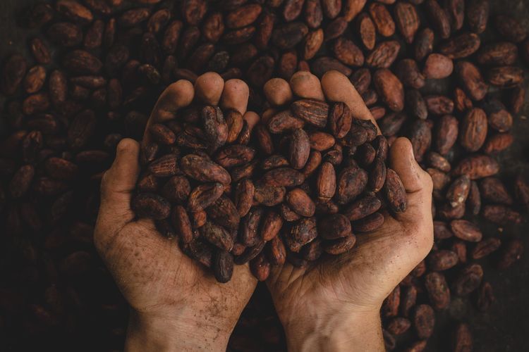 Kopi mengandung banyak vitamin dan mineral yang bisa menyehatkan tubuh, salah satu khasiat kopi yang dipercaya banyak orang adalah kopi bisa menurunkan risiko kanker kolon.