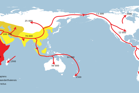 Teori Out of Africa, Asal-usul Manusia Modern