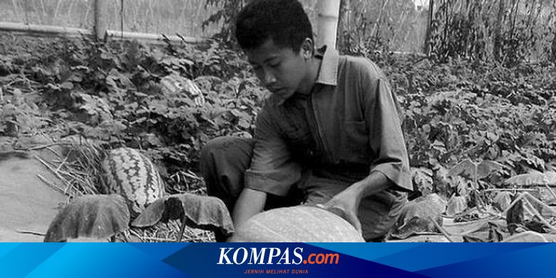 Quot Wajah Quot Lain Smk Pertanian Halaman All Kompas Com
