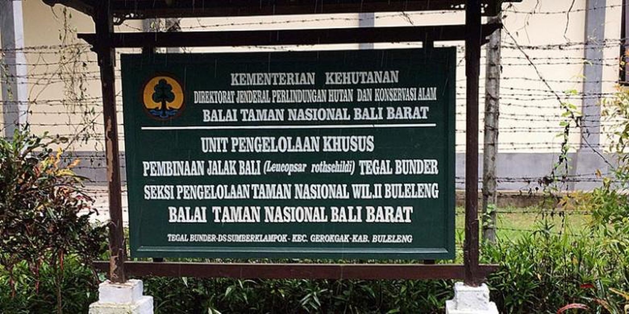 Perjalanan Menjumpai Jalak Bali Halaman All Kompascom