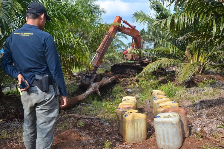 Tim gabungan melakukan operasi penangkapan pelaku perambahan kawasan Suaka Margasatwa Giam Siak Kecil di Kabupaten Bengkalis, Riau, Kamis (26/8/2021).