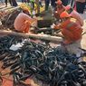 Mengandung Logam Berat, Efek Konsumsi Ikan Sapu-Sapu Muncul Jangka Panjang