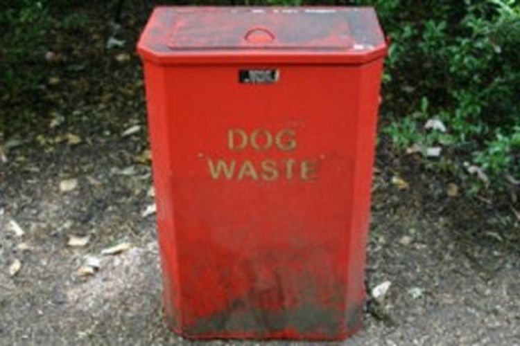 Tempat sampah untuk kotoran anjing dikurangi di kawasan Torquay, Inggris barat.