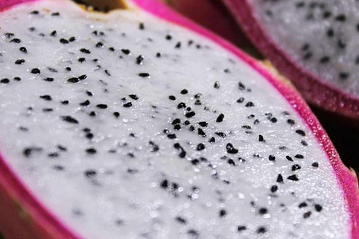Buah naga
