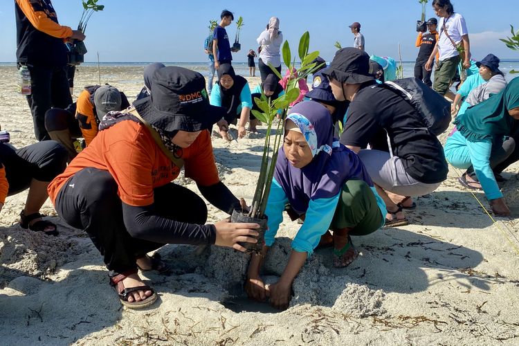 Warga Pulau Pari, DMC Dompet Dhuafa, dan Walhi Nasional menanam mangrove di Pantai Rengge, Pulau Pari, Kepulauan Seribu, Jakarta, Senin (8/7/2023) pagi. 