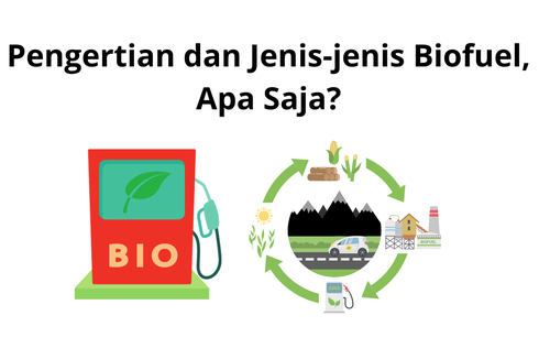 Pengertian dan Jenis-jenis Biofuel, Apa Saja?
