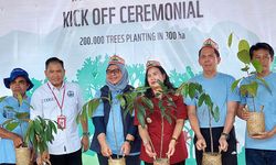 Restorasi Hutan Kalteng, Epson Gandeng WWF Tanam 200.000 Pohon