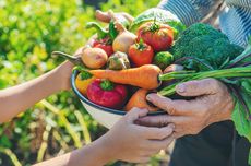 Hindari, Ini 5 Kesalahan yang Dilakukan Saat Berkebun Sayur