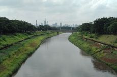 Melihat Sungai yang Disebut Ideal di Jakarta...