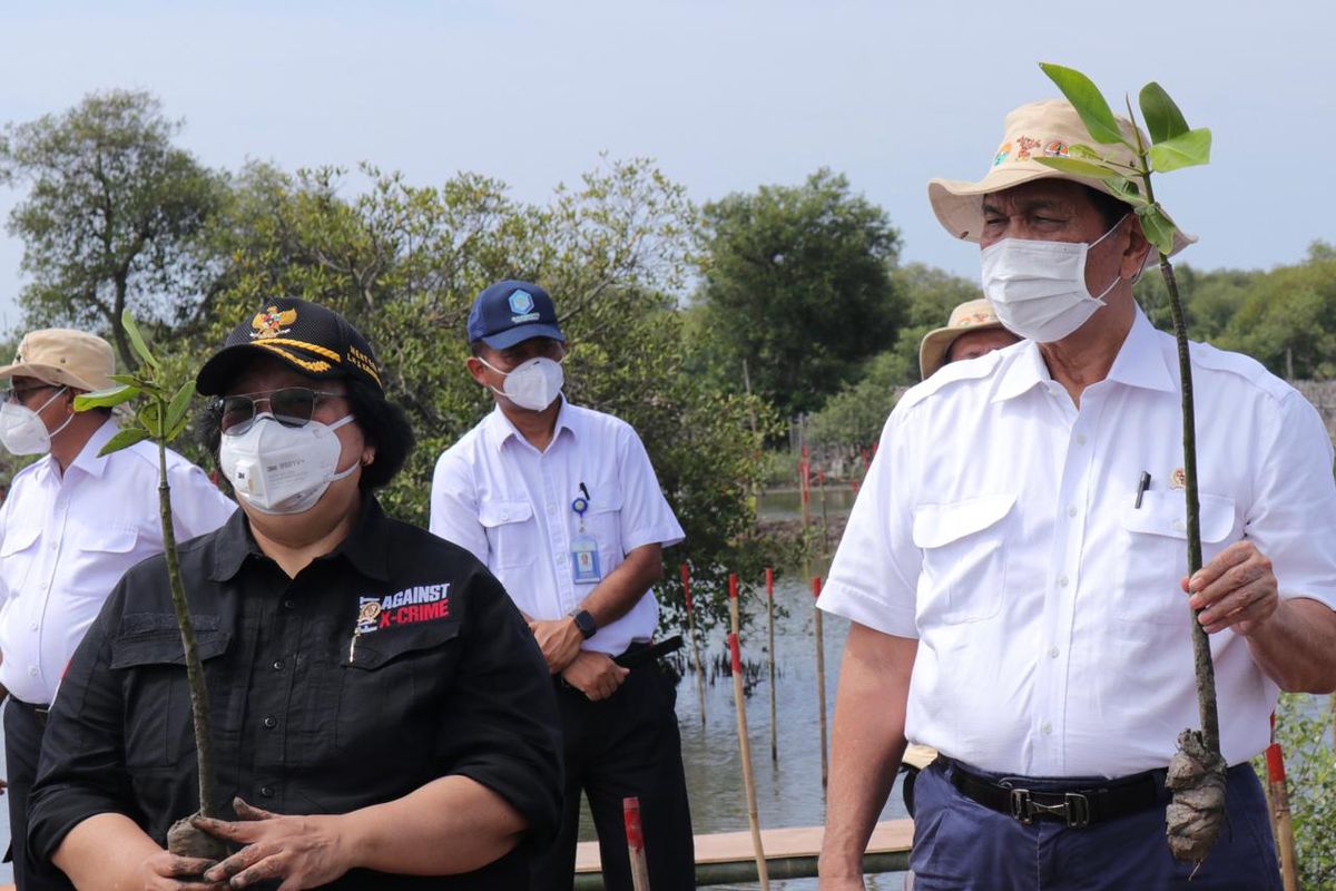 Menko Marves Luhut Binsar Pandjaitan didampingi Menteri LHK Siti Nurbaya tengah melakukan penanaman tanaman mangrove di Desa Tanjung Pasir, Tangerang, Banten, Rabu (3/3/2021).