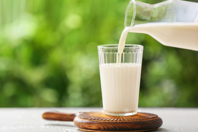 Ilustrasi susu segar. Makanan tertentu dapat membantu tubuh meningkatkan jumlah trombosit secara alami, seperti susu, bayam, delima, dan cokelat hitam.