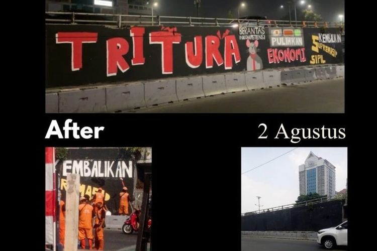 Mahasiswa Trisakti: Penghapusan Mural 