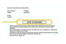 Apa Itu EFIN? Siapkan Sebelum Lapor SPT Online