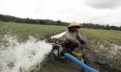 Kementan Hibahkan Bantuan Irigasi Perpompaan untuk Petani Lampung Selatan