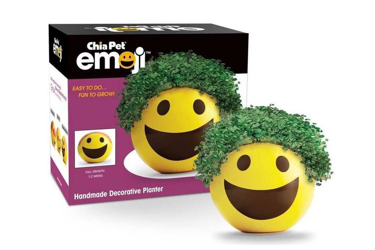 Ilustrasi Mainan Chia Pet