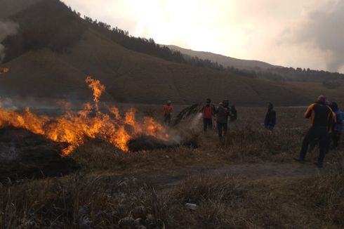 65 Hektar Sabana Gunung Bromo Terbakar