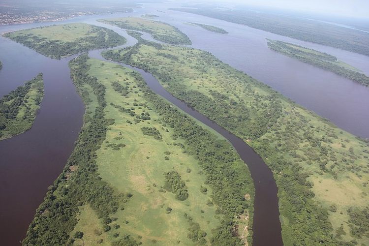 Sungai Kongo, sungai terdalam di dunia. 