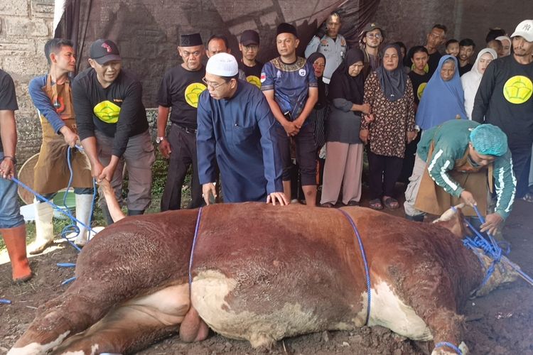 Cerita Warga Lamajang Bandung Begadang Sambut Sapi 1,2 Ton, Targetkan 1.000 Kantong Daging