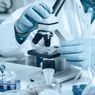 Pemerintah Tetapkan 12 Jejaring Laboratorium Pemeriksaan Covid-19