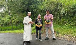Manisnya Nanas Purbalingga: NanasQu Binaan Pertamina Gandeng 900 Petani Lokal Tembus Pasar Ekspor