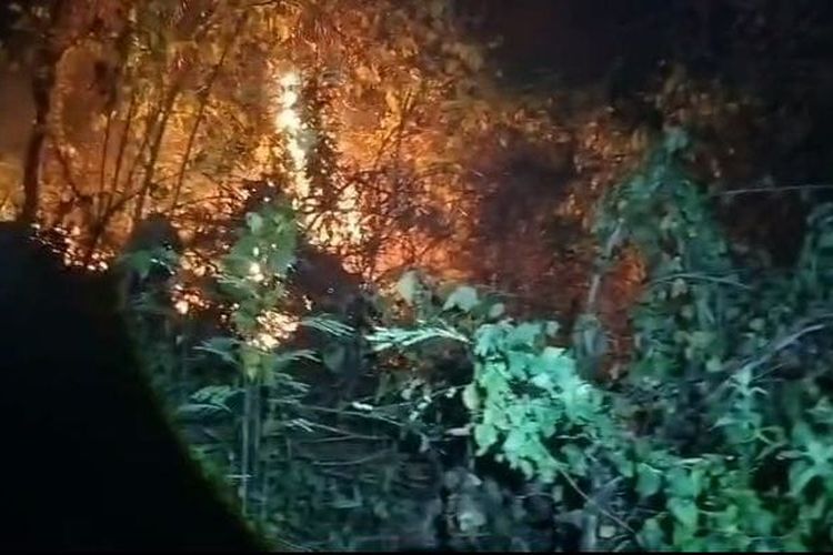 Kebakaran Lahan di Polman Capai 100 Hektar, Api Merambat ke Kebun Warga