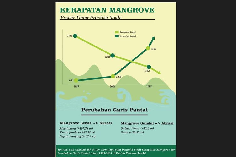 Infografis: studi kerapatan mangrove memengaruhi perubahan garis pantai