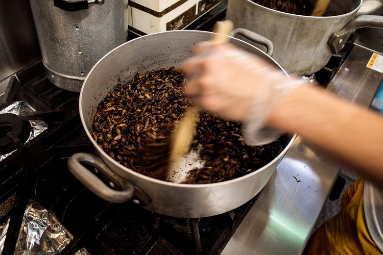 Foto tertanggal 13 Mei 2020 menunjukkan Yuta Shinohara menggoreng jangkrik, yang disiapkan sebagai bahan makanan ramen jangkrik di Tokyo. Ia mengganti lauk ramen yang biasanya adalah daging babi atau ayam, menjadi jangkrik goreng.