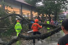 Hujan dan Angin Kencang Landa Banyumas, Pohon Tumbang dan Longsor Terjadi di Sejumlah Titik